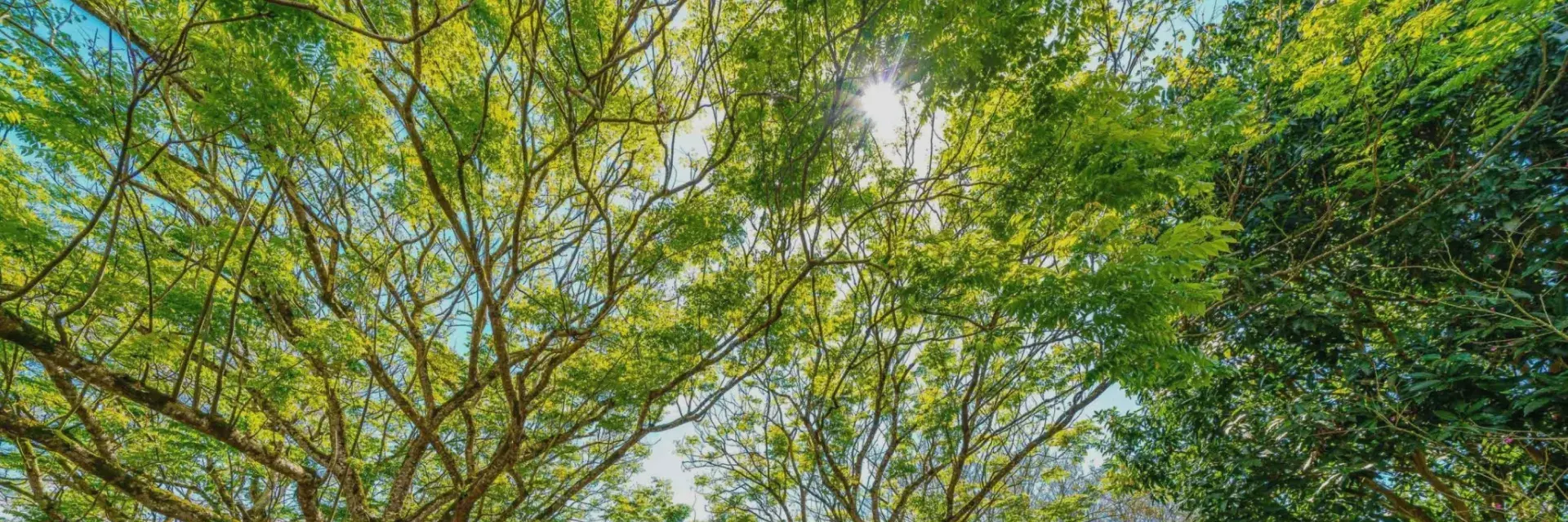 Page Header 活動體驗